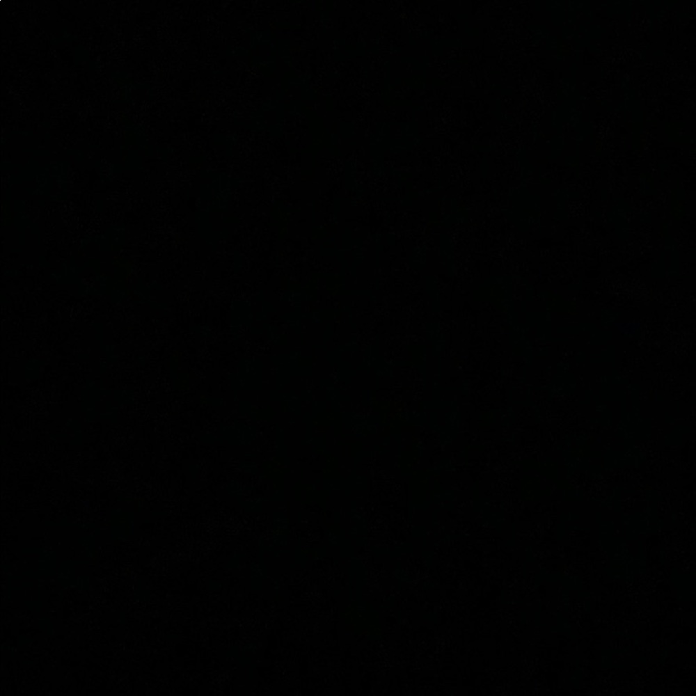 Meet your Posher, Shayyy